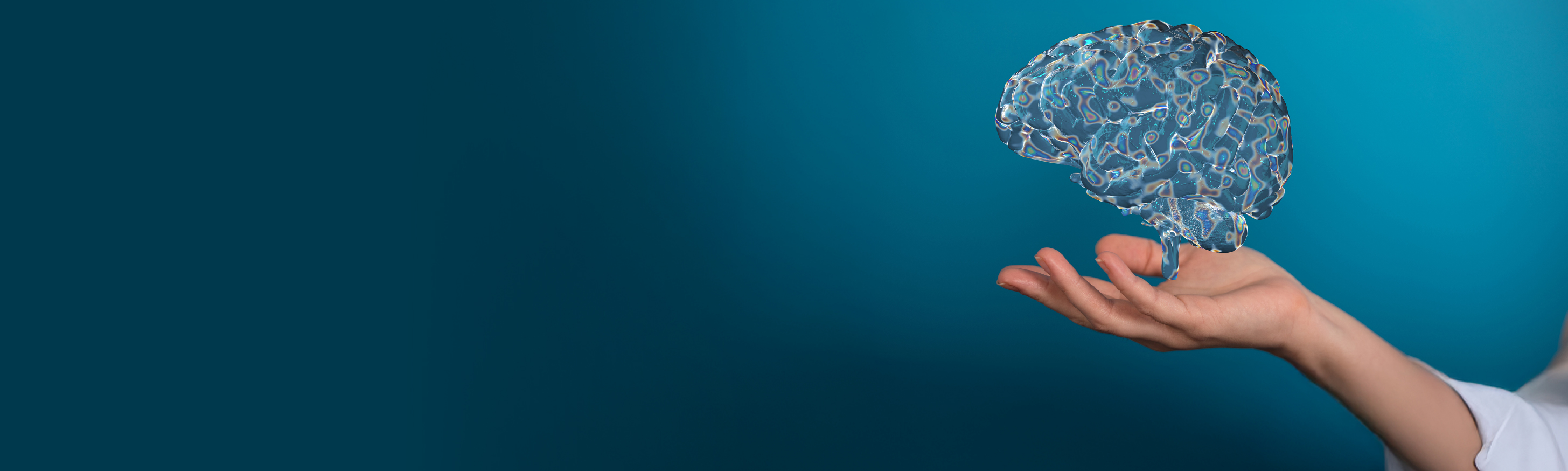 Landing Page Banner