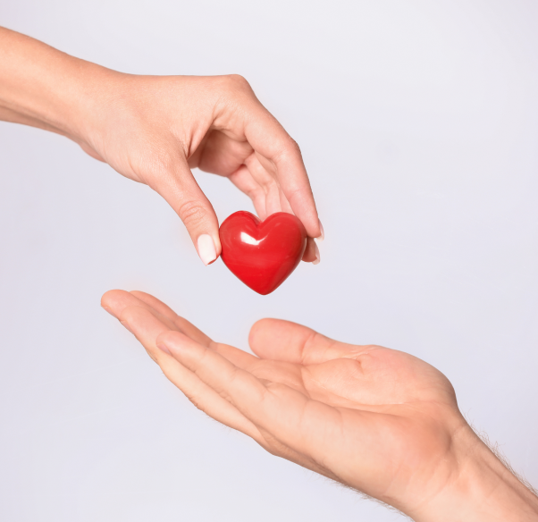 understanding-hand-transplantation.png