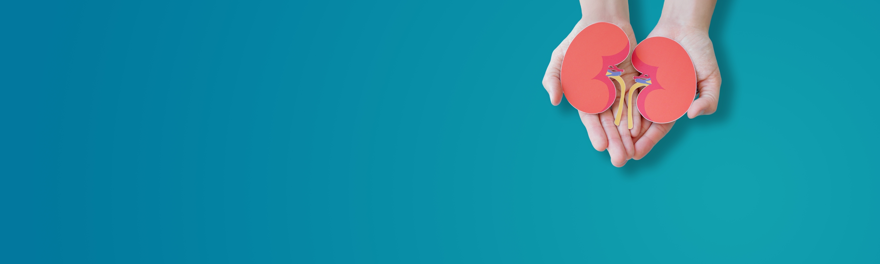 Landing Page Banner