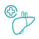 Paediatric hepatology